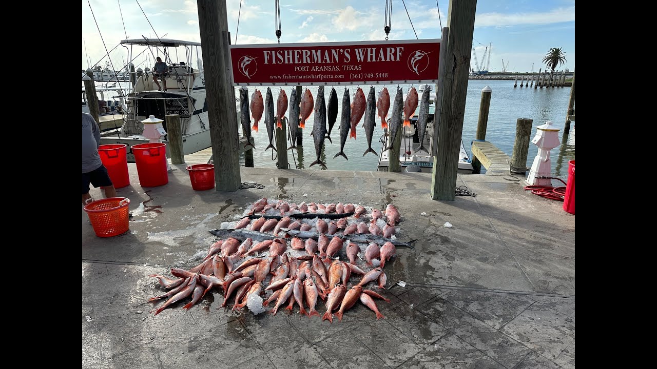 Trying something different, went out on the Wharf Cat out of Port Aransas, caught some great fish