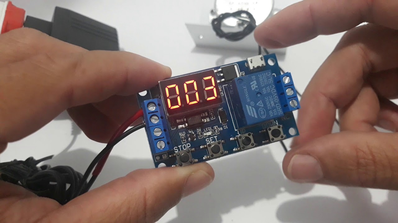 Timer temporizador digital para chocadeira configuração e instalação