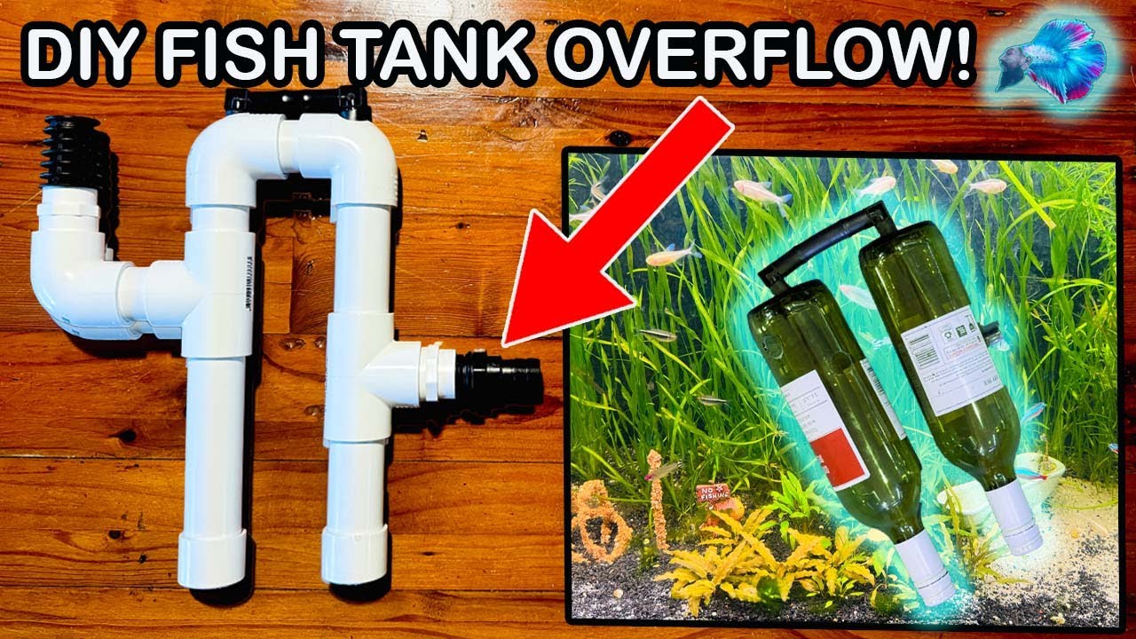 HOW TO MAKE A FISH TANK OVERFLOW Without Drilling the Tank!