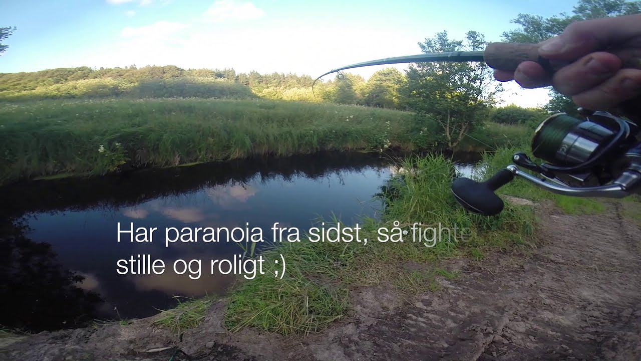 Mister stor fisk! - forsøger igen! HAPS. Spinfiskeri efter havørred i åen når det bedst..!