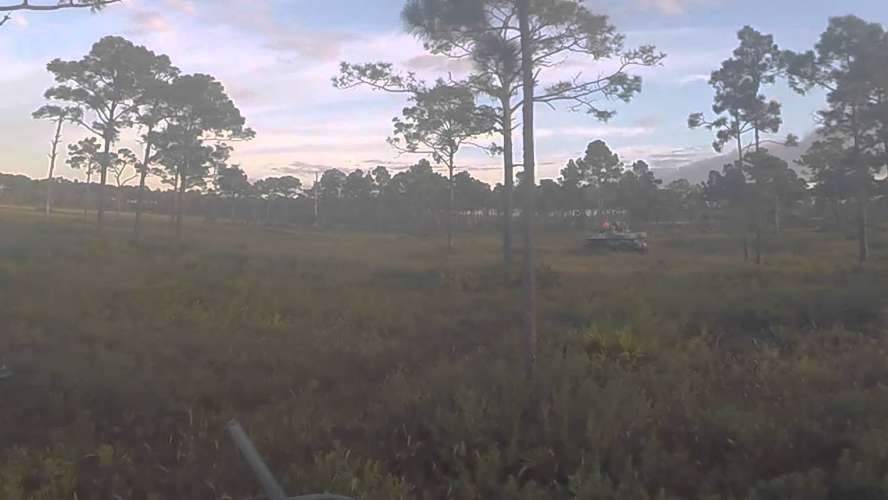 NICKS BUGGY HOGS SHOT 11:08:2014