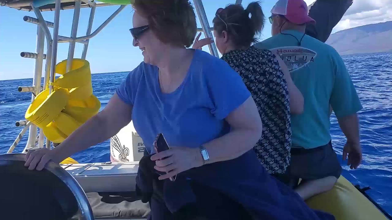 Multiple Whales Breaching Surprises Watchers in Maui