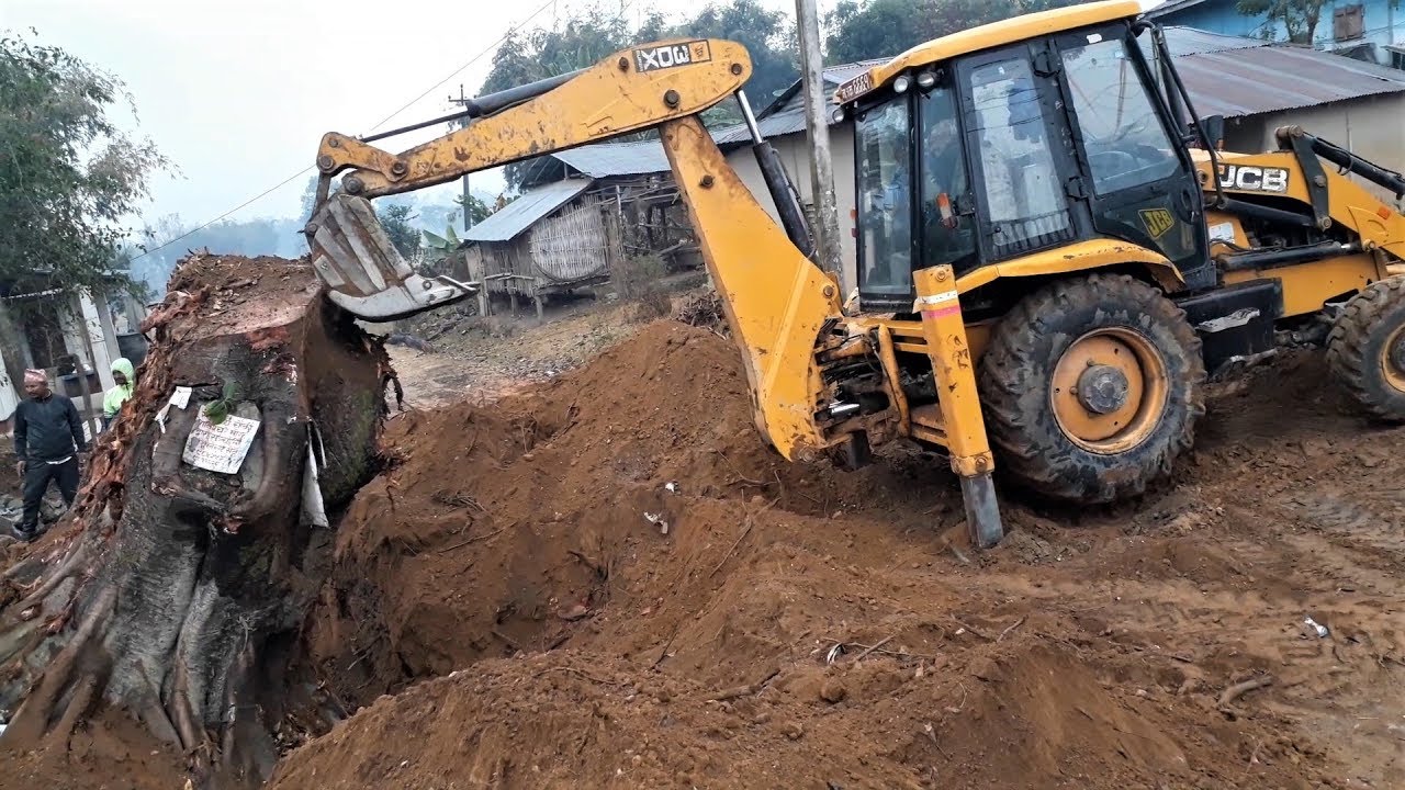 JCB VS A Big Tree Root - JCB Pushing and Pulling A Big Tree Root - JCB Dozer Video 2
