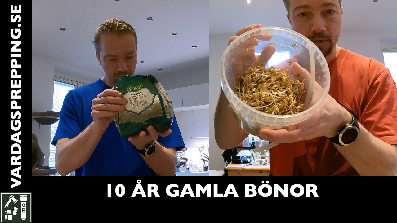Martin smakar på 10 år gamla groddar (Mungbönor)
