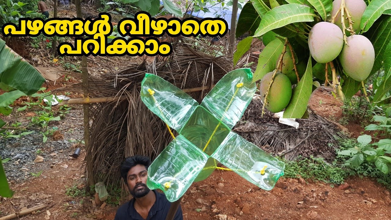 പഴങ്ങൾ കേടാകാതെ പറിക്കാം|fruits plucker making in malayalam|bottle fruits plucker|how to make|DIY
