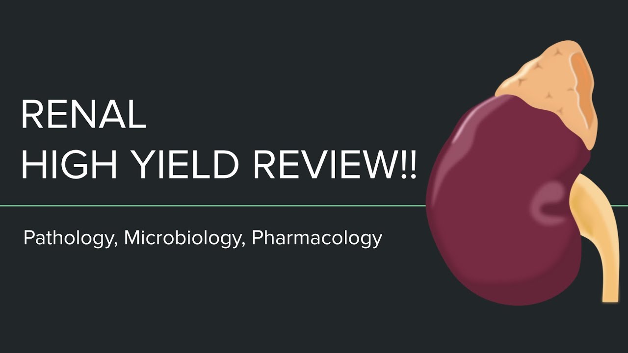 High Yield Renal Review- Pharmacology, Microbiology, Pathology