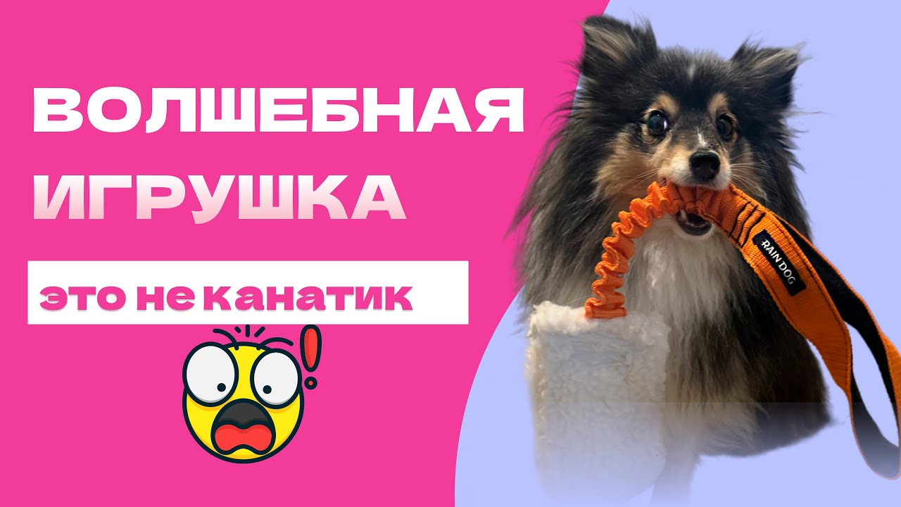 СОБАКА НЕ УМЕЕТ ИГРАТЬ? ПРОБЛЕМА НЕ В ТЕБЕ (наверно))
