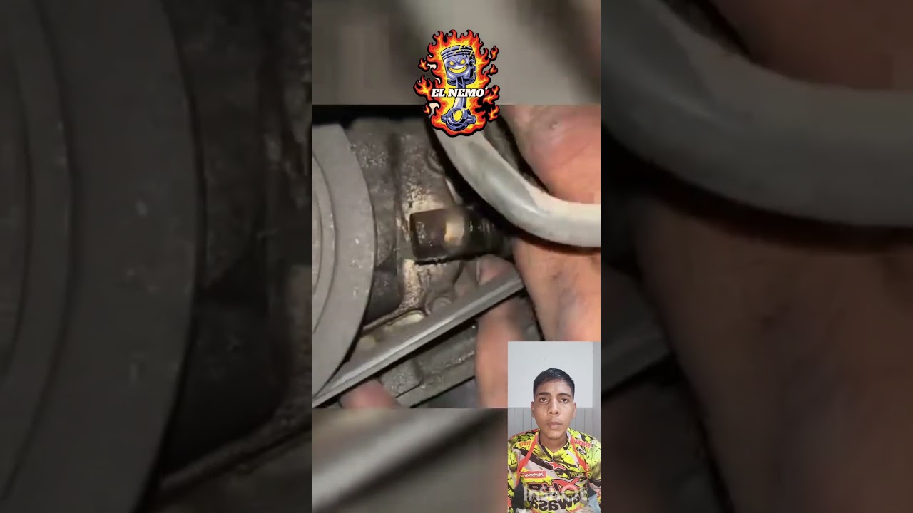 limpieza a sensor de cigue&ntilde;al