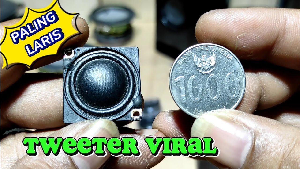 viral speaker tweeter, DIY project recommendations