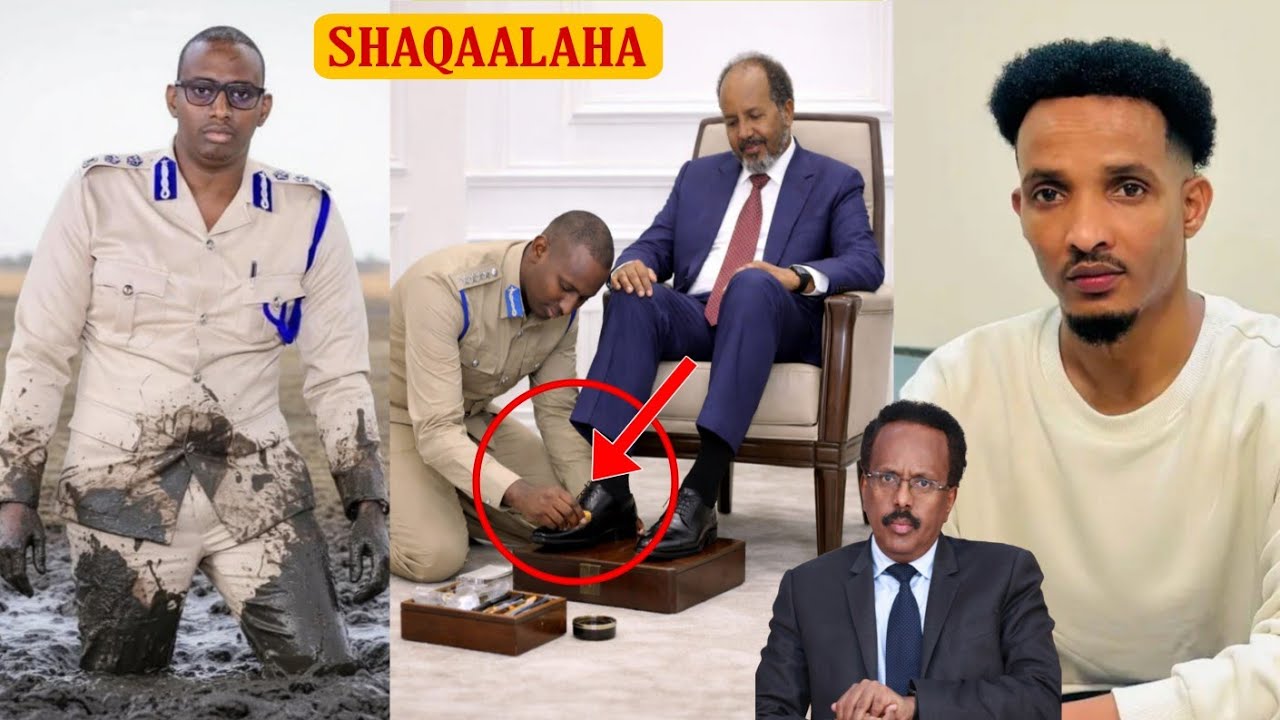 DHALINYARADI HG OO SIXUN UCAAYEN MACALIN MAHDI SHAQAALAHA HASSAN SH KUTILMAMEN FARMAAJO TAAGEREN....
