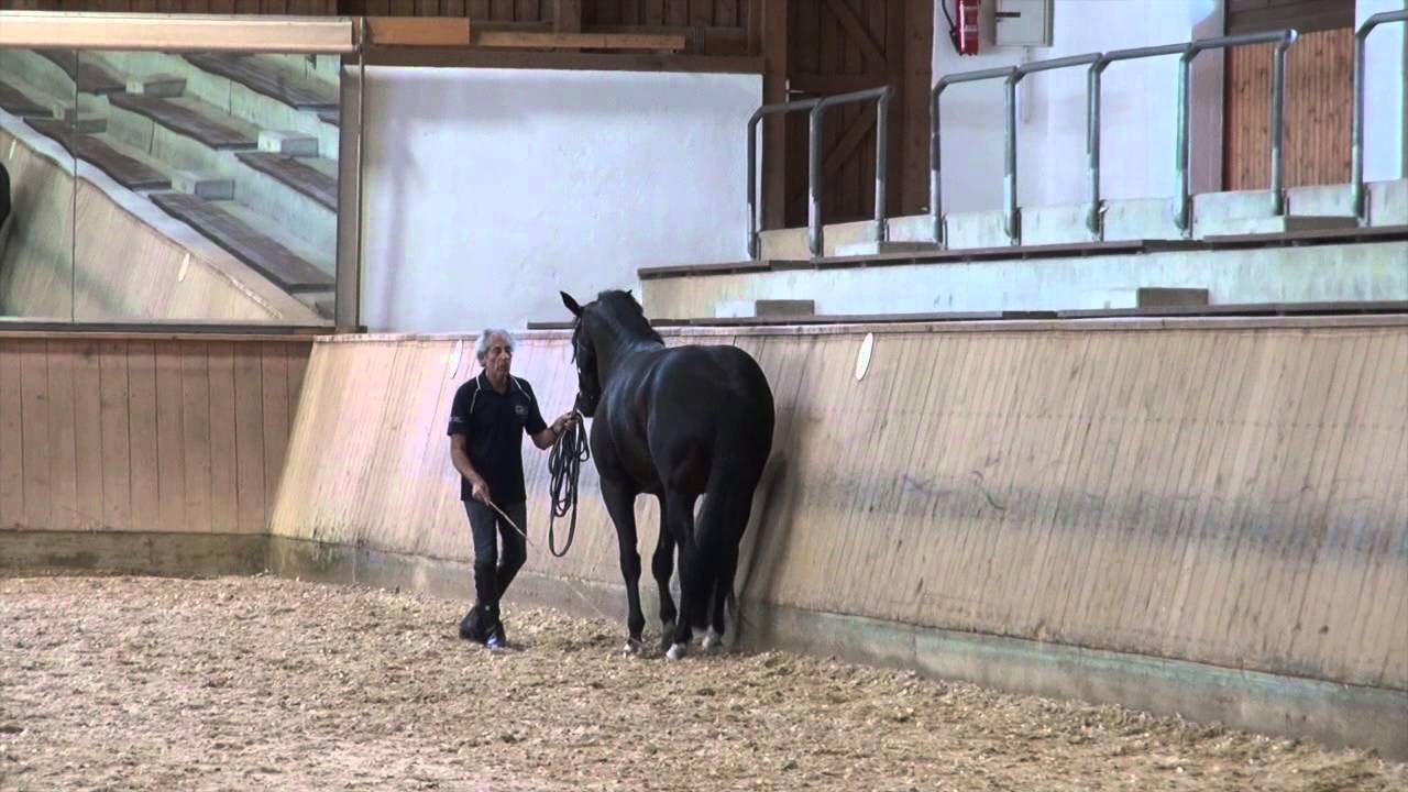 Manolo Mendez with Ritz Carlton 7/2015
