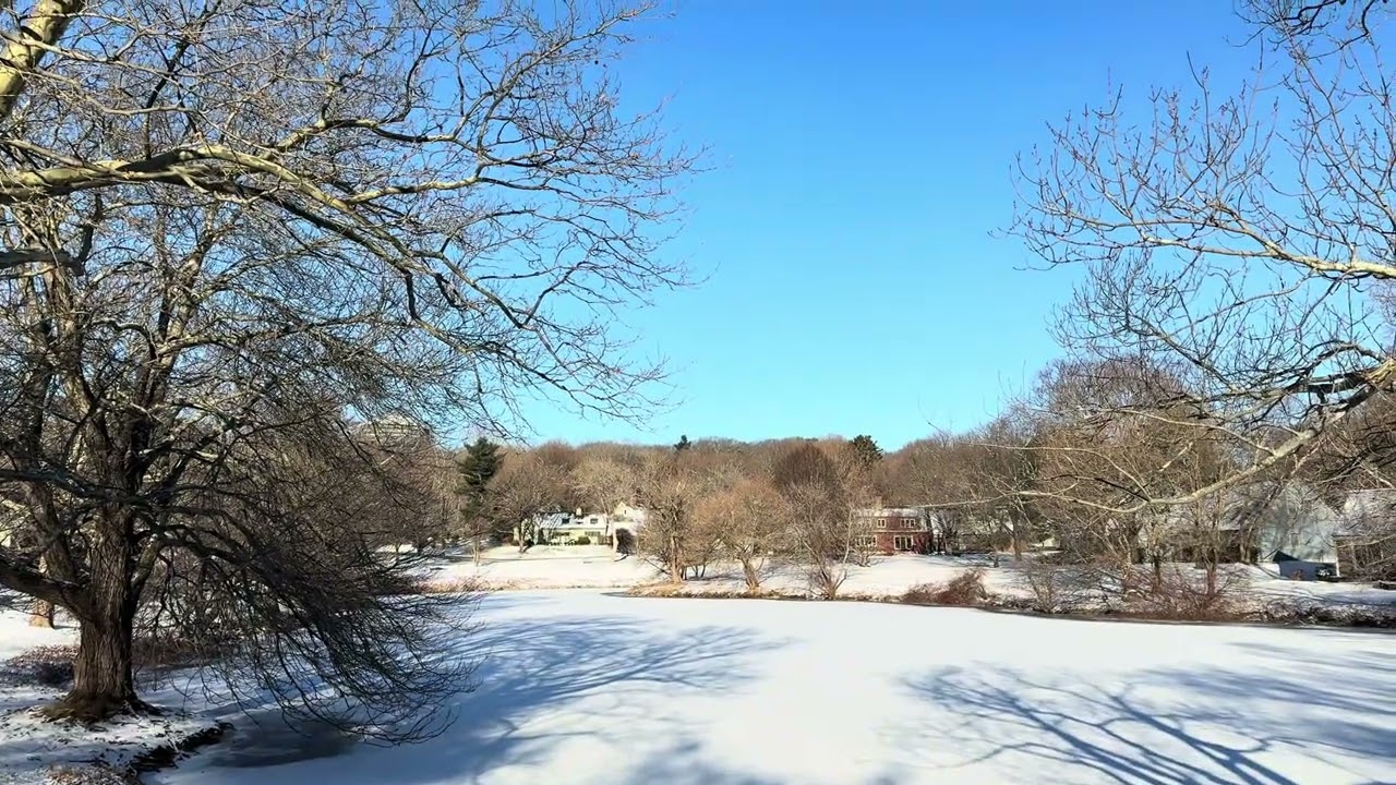 Snow Walk Sounds/Wild,Bird&Foot Steps/Healing Nature 5 Minutes/5 phút đi bộ trong tuyết/Gió,Chim…🥶❄️