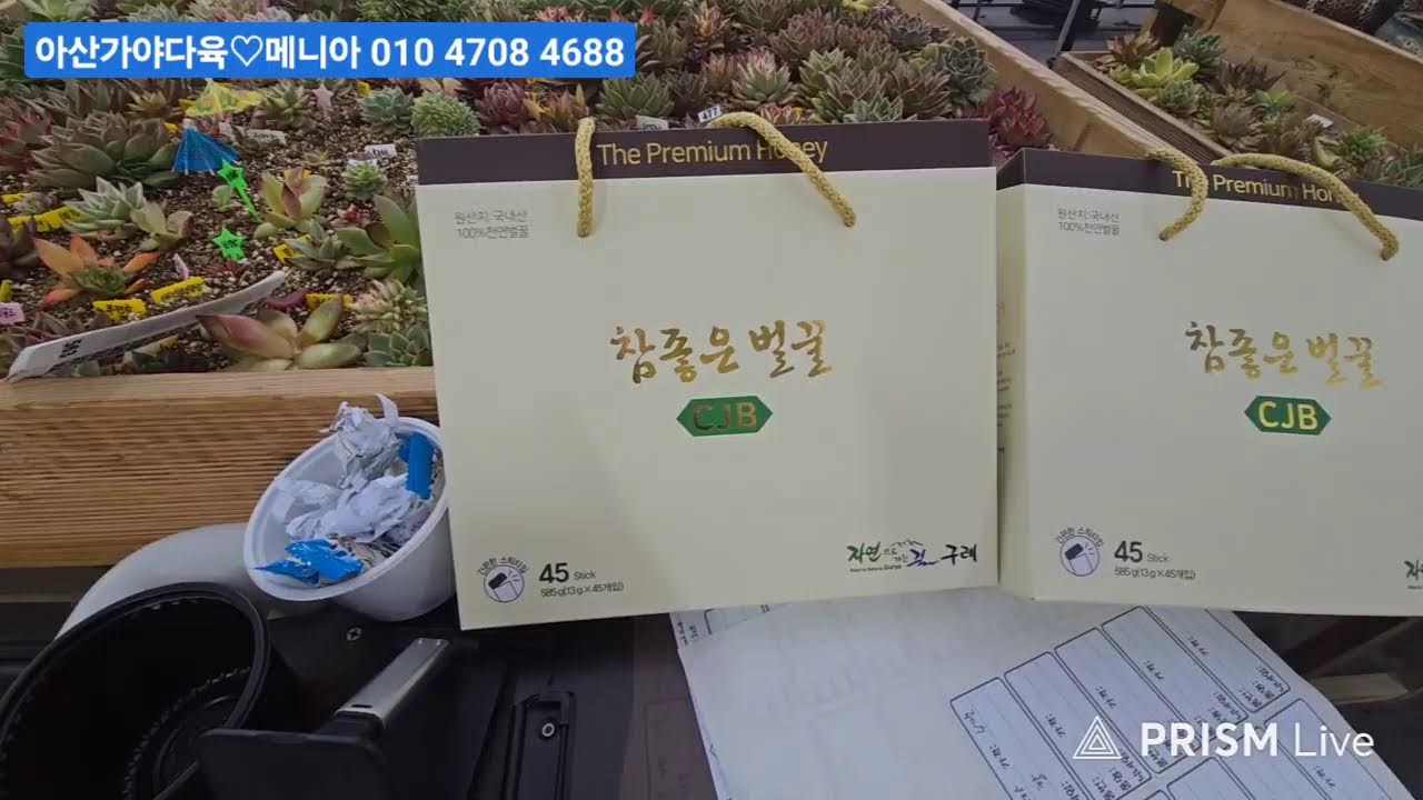 (3월2일아산가야다(육메니아)2부