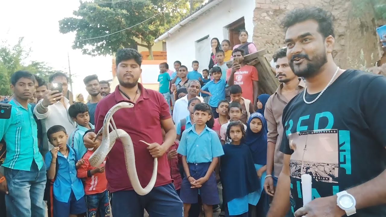 साँप पकड़ने के चक्कर में घर को ही टोडा गया | The house was broken in the process of catching snakes.