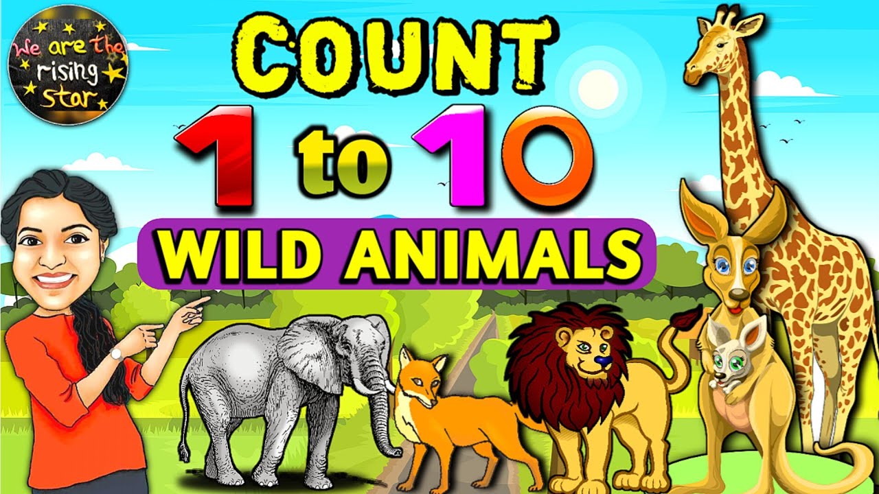 Wild Animals | Count 1 to 10 | Live examples | WATRstar
