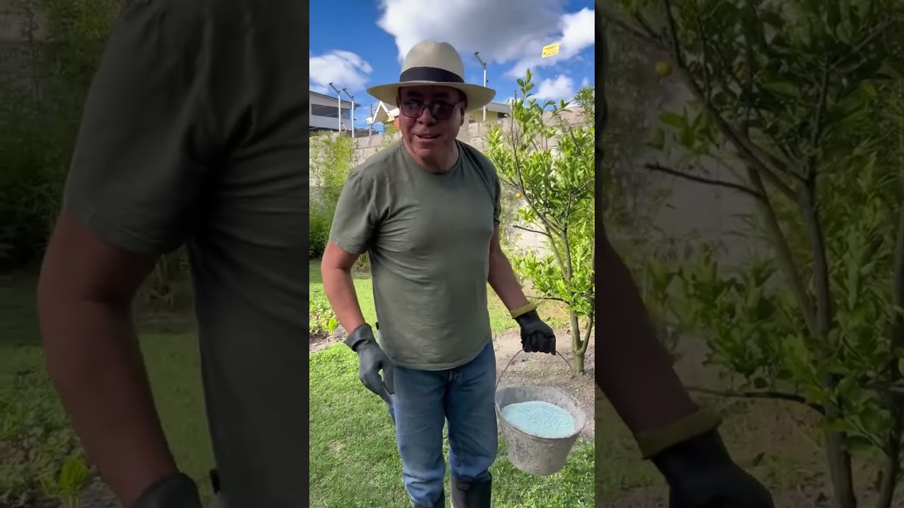 Acomapañme a abonar mis plantas! 🪴El secreto del viejo😲