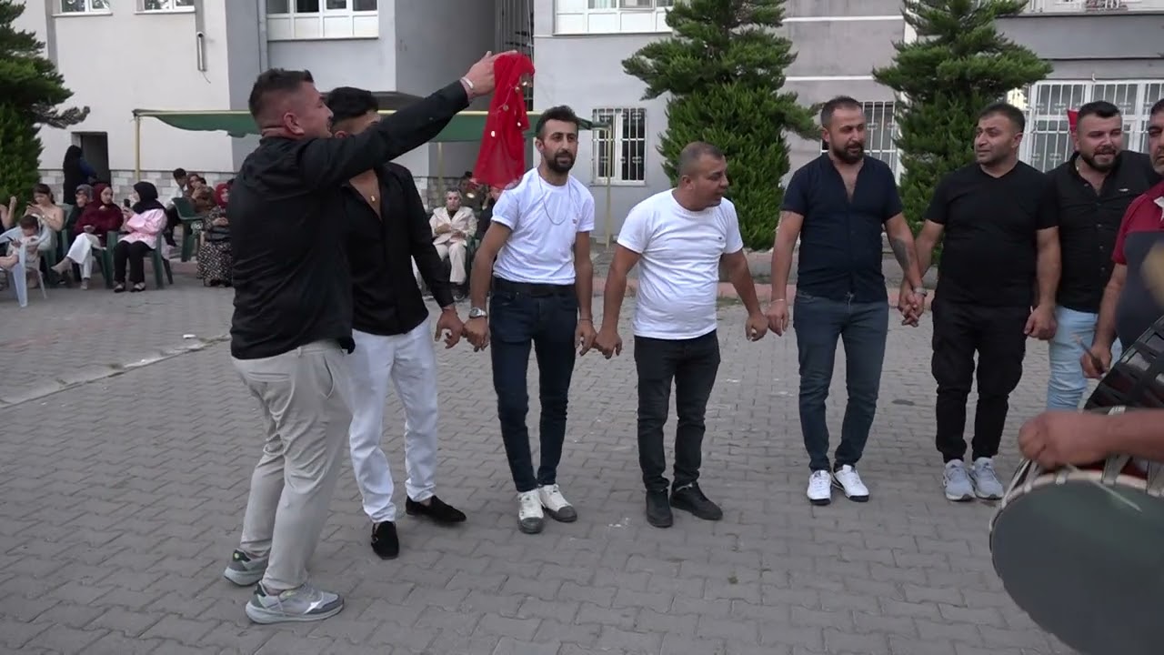 Avşar Halayı - Emmioğlu