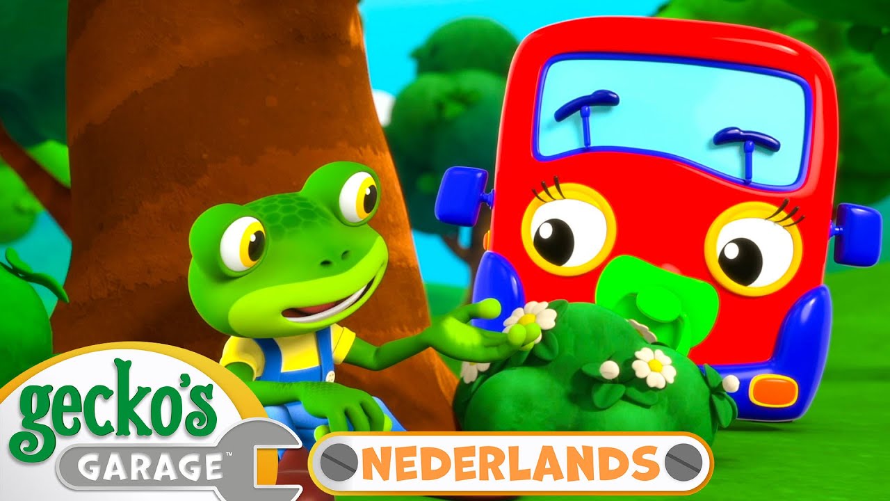 Baby Truck's eerste bezoek | Gecko's Garage Nederlands | Vrachtwagen Cartoons Voor Kinderen