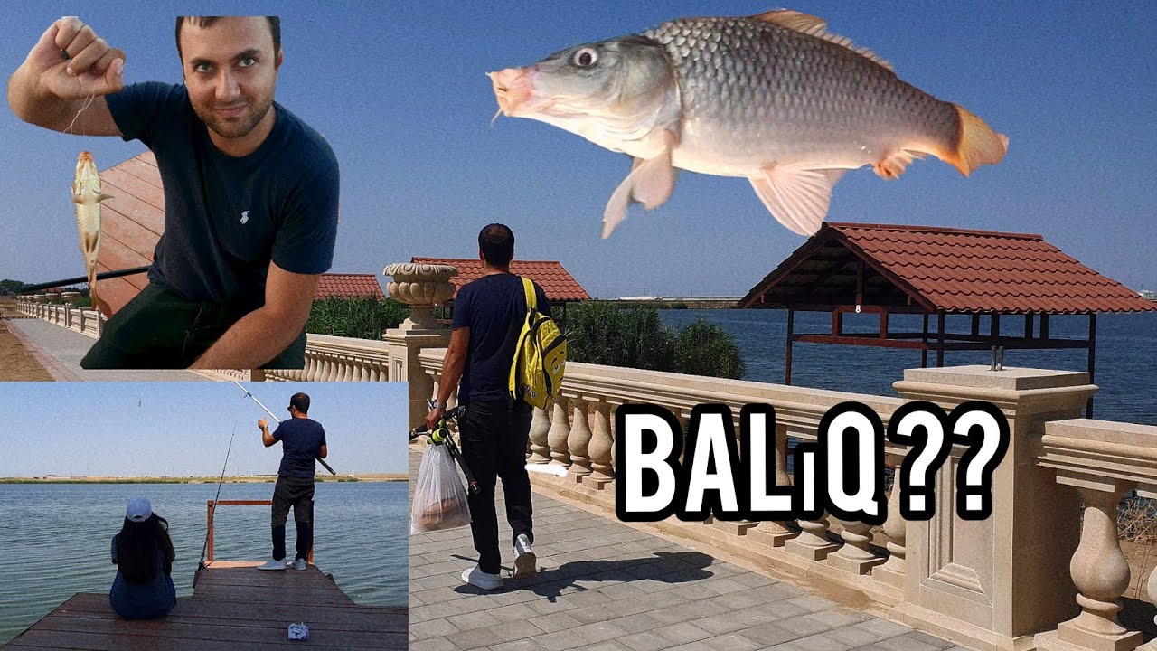 BAKIDA BALIQ TUTMAĞ ÜÇÜN YERLƏR . OMAR atçılıq mərkəzi . piknik yerleri