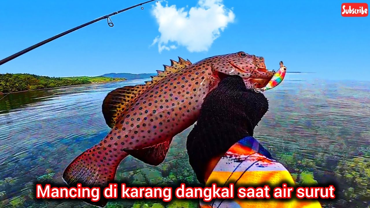 MANCING DI KARANG DANGKAL SAAT AIR SURUT ‼️ Ultralight Fishing 