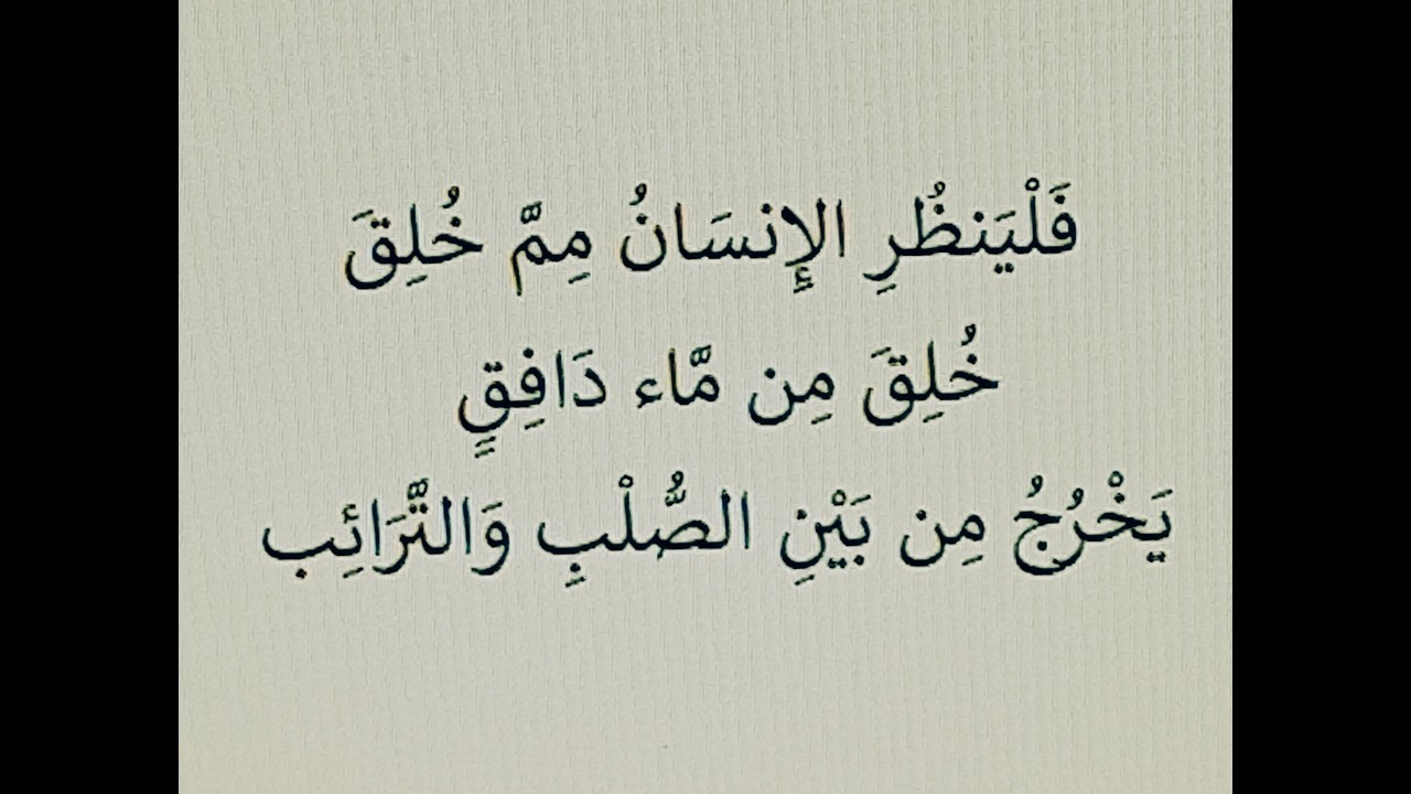 خُلِقَ مِن مَّاء دَافِق يَخْرُجُ مِن بَيْنِ الصُّلْبِ وَالتَّرَائِب