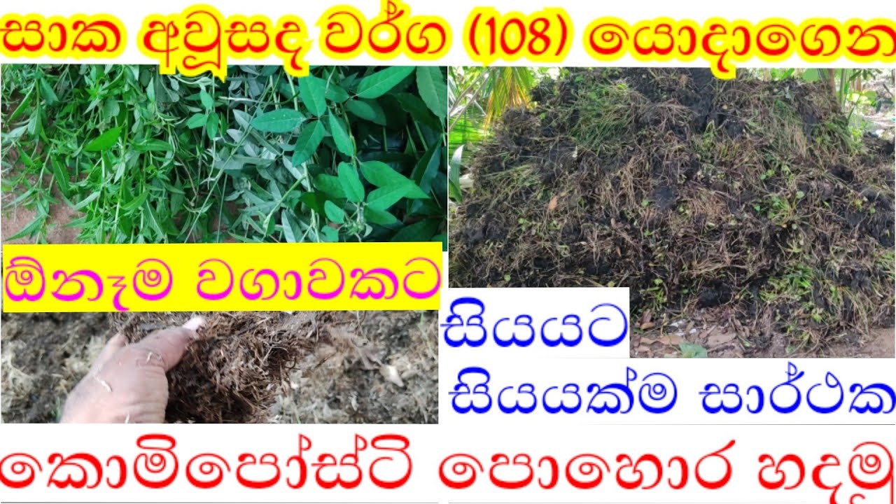 සාක අවූසද එකසිය අටකින් කාබනික පොහොරක්/sakaausada ekasoiya atakin kabanika pohorak