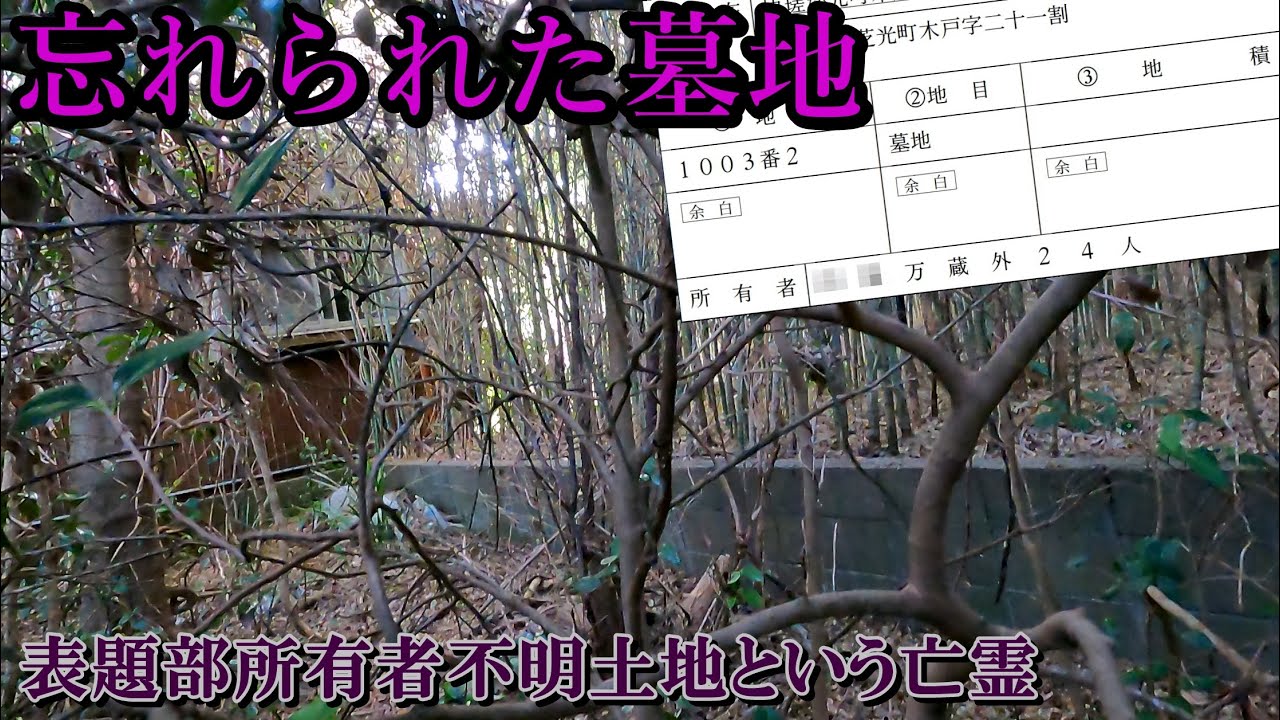 忘れられた墓地　－表題部所有者不明土地という亡霊－