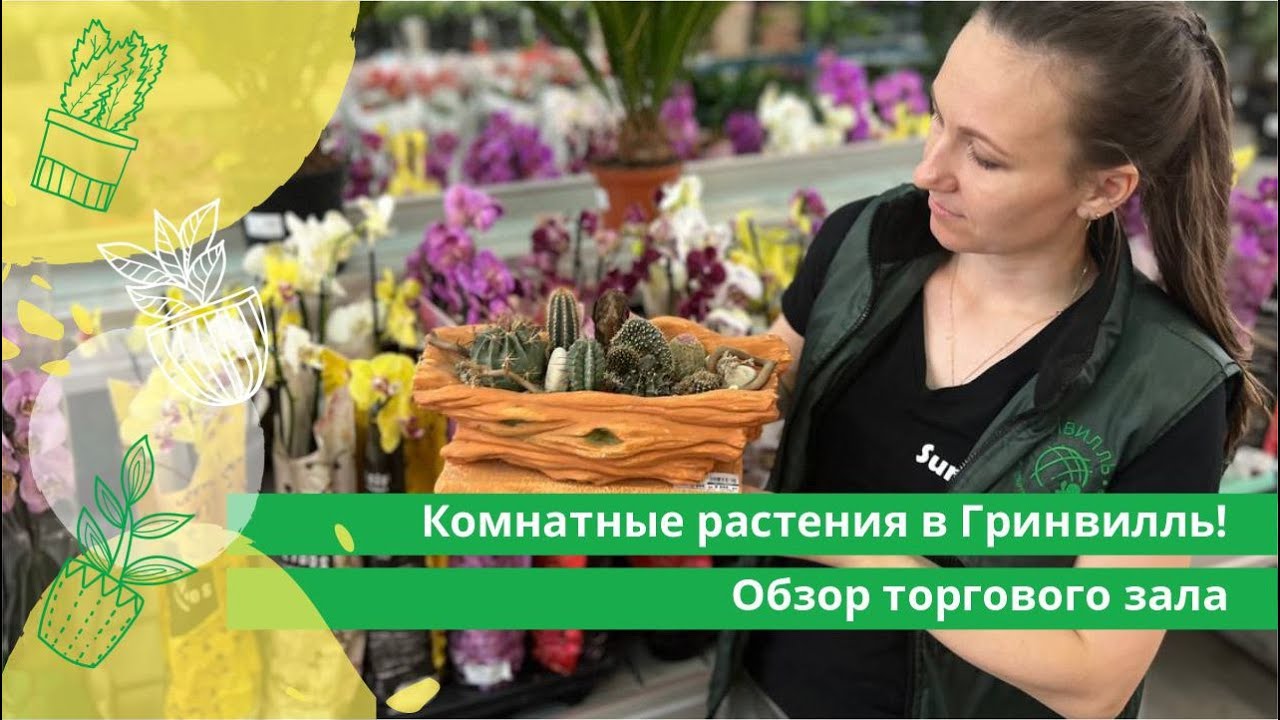 Комнатные растения в в Гринвилль! Обзор торгового зала