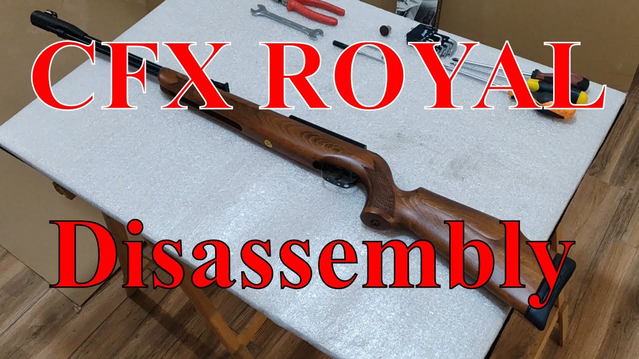 Gamo CFX Royal (Disassembly) limpeza interna e cronografagem a sair da caixa