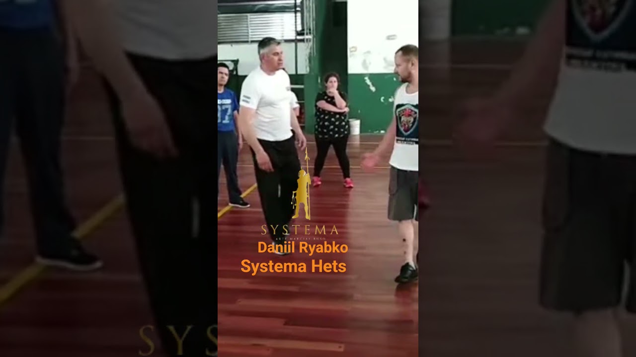 Daniil Ryabko Systema #systema #mma #systemaryabko