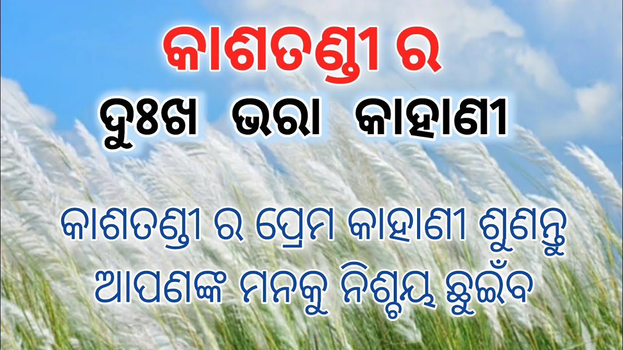 Motivation ll Odia Anuchinta ll story ll 