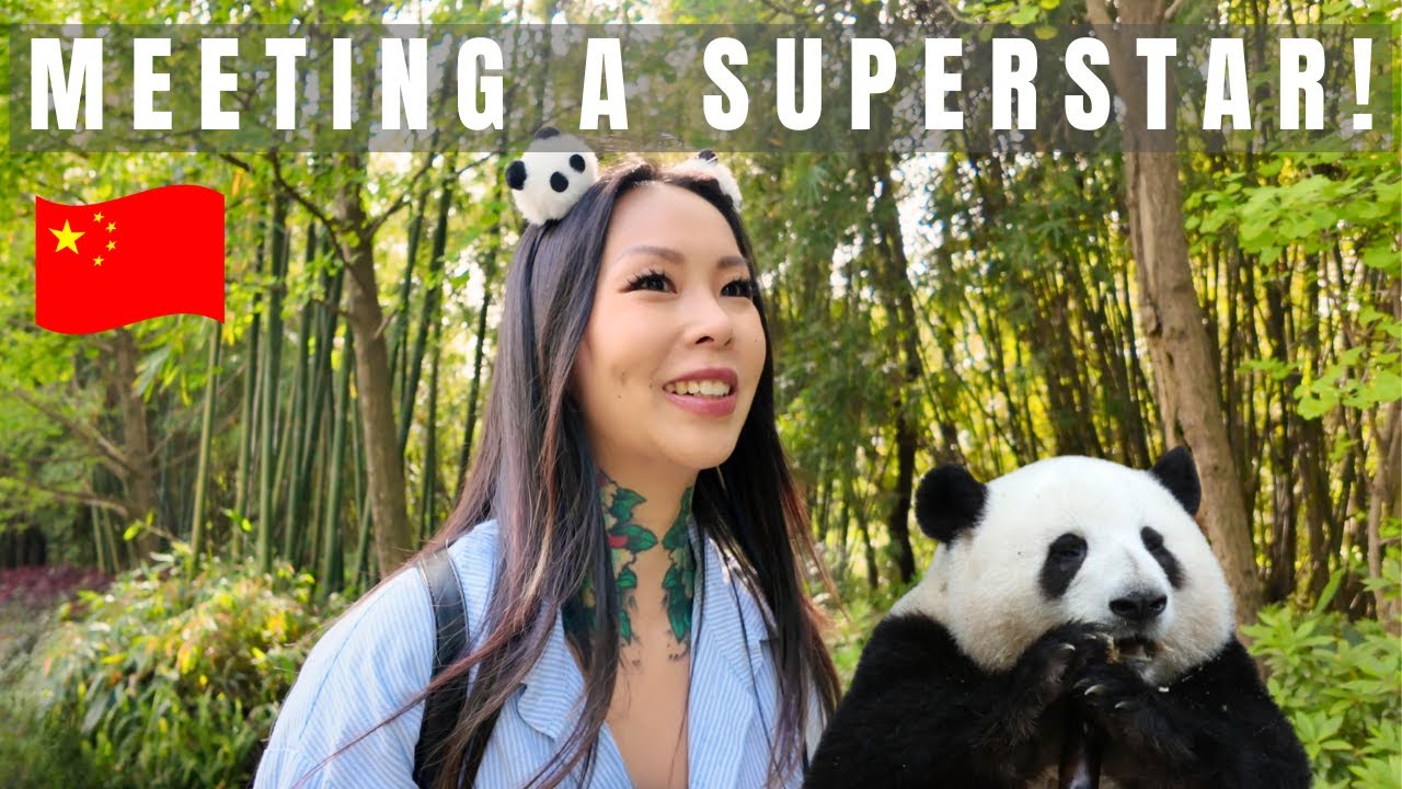 Meeting the World’s Most Famous Panda🐼| Chengdu Travel Vlog 🇨🇳