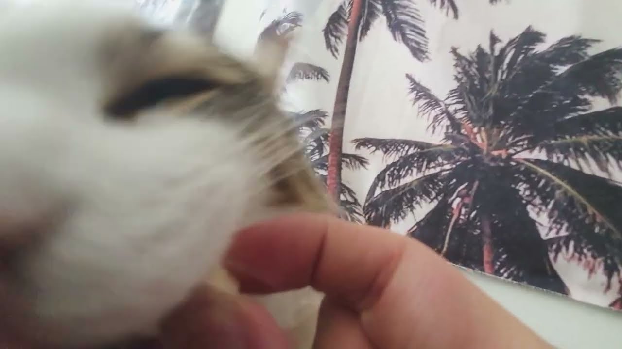 TAKE MA BITE