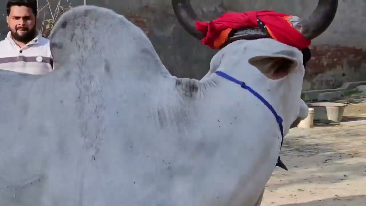 किसान ❤️