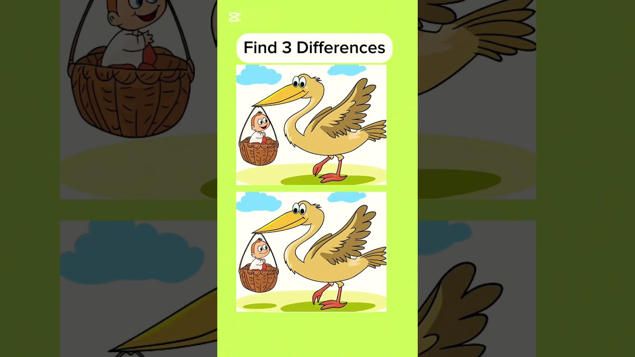 Can you find the hidden differences?