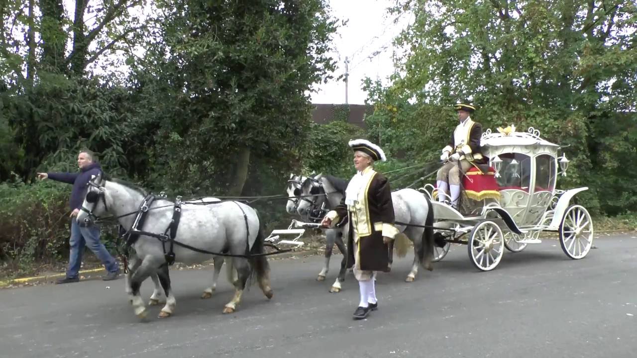 bokbierdag zutphen 2016 optocht