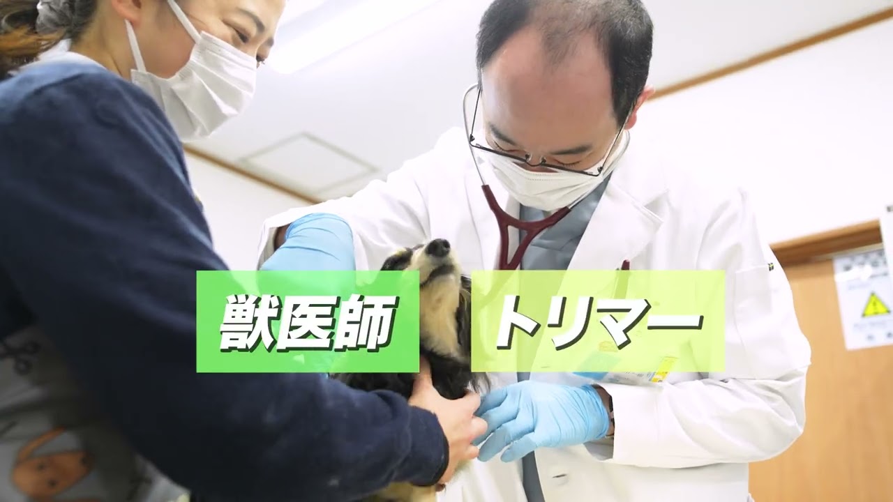 東京都東村山市の動物病院なら”東村山どうぶつ病院” A