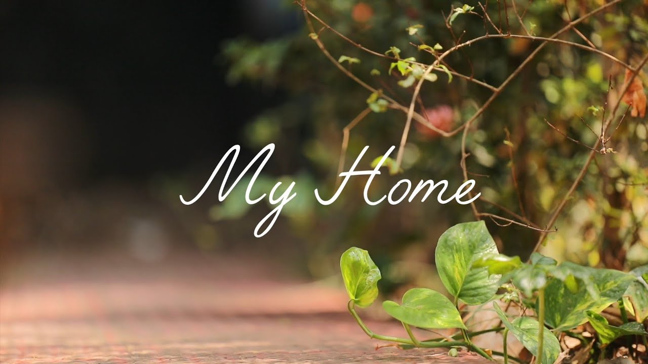 Days of summer ____ my home