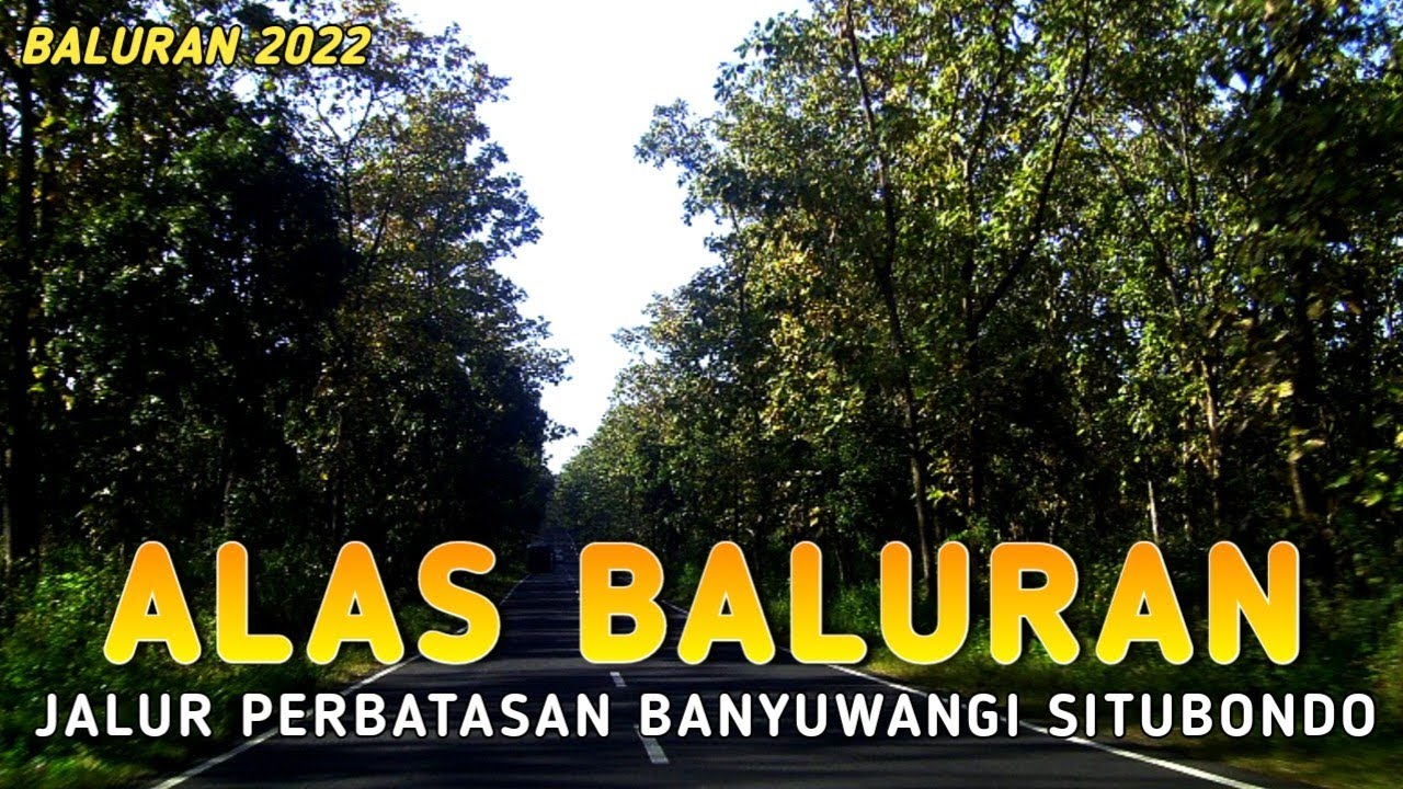 SUASANA JALAN ALAS BALURAN - JALUR PERBATASAN BANYUWANGI SITUBONDO