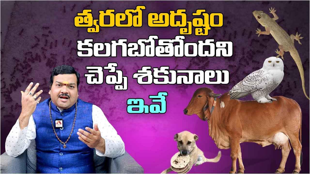 త్వరలో అదృష్టం కలగబోతోందని చెప్పే శకునాలు ఇవే | Shakunalu | Machiraju Kiran Kumar
