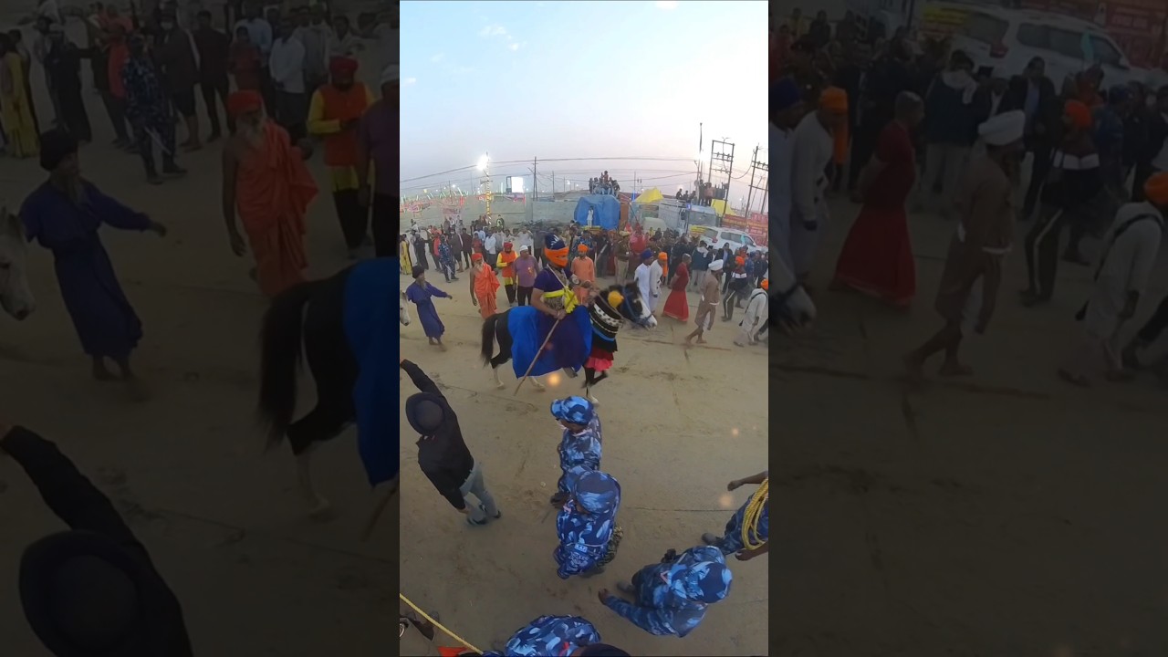 Nihang Sikh Kumbh Akhada #Prayagraj #khalsa #trending #shorts #motivation #status #shorts
