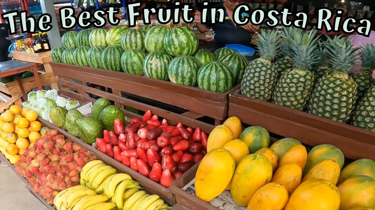 11 Exotic Fruits In Costa Rica - The Famous Orotina Fruit Stands - Eating Fresh Fruits in Costa Rica