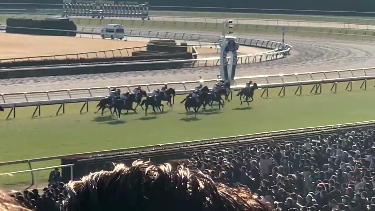 GⅢダイヤモンドステークス 芝3,400m スティンガーグラス重賞初制覇 東京競馬場 2026/02/21