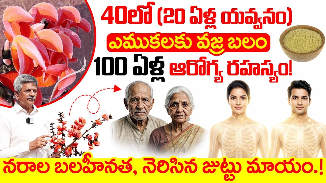 40లో (20 ఏళ్ల యవ్వనం) ఎముకలకు వజ్ర బలం 100ఏళ్ల రహస్యం! | Modhuga Chettu Uses | Anjaneya Raju |iDream