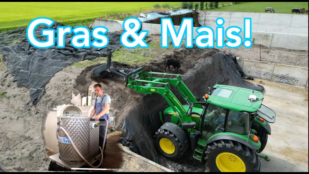 Zand van de Kuil halen - Kalfjes voeren, Melk TAXI - Dutch farmer Vlog