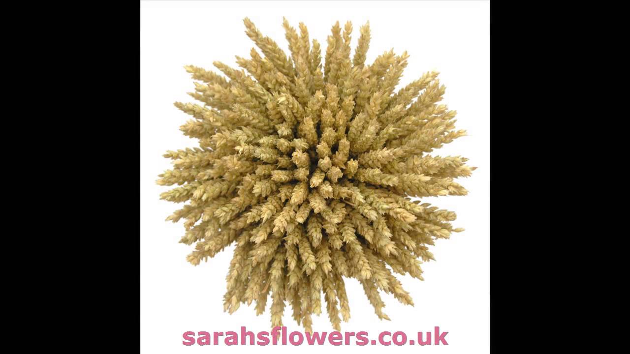Breathtaking Hand Made Quality Grooms Buttonholes Pick sarahflowers.co.uk
