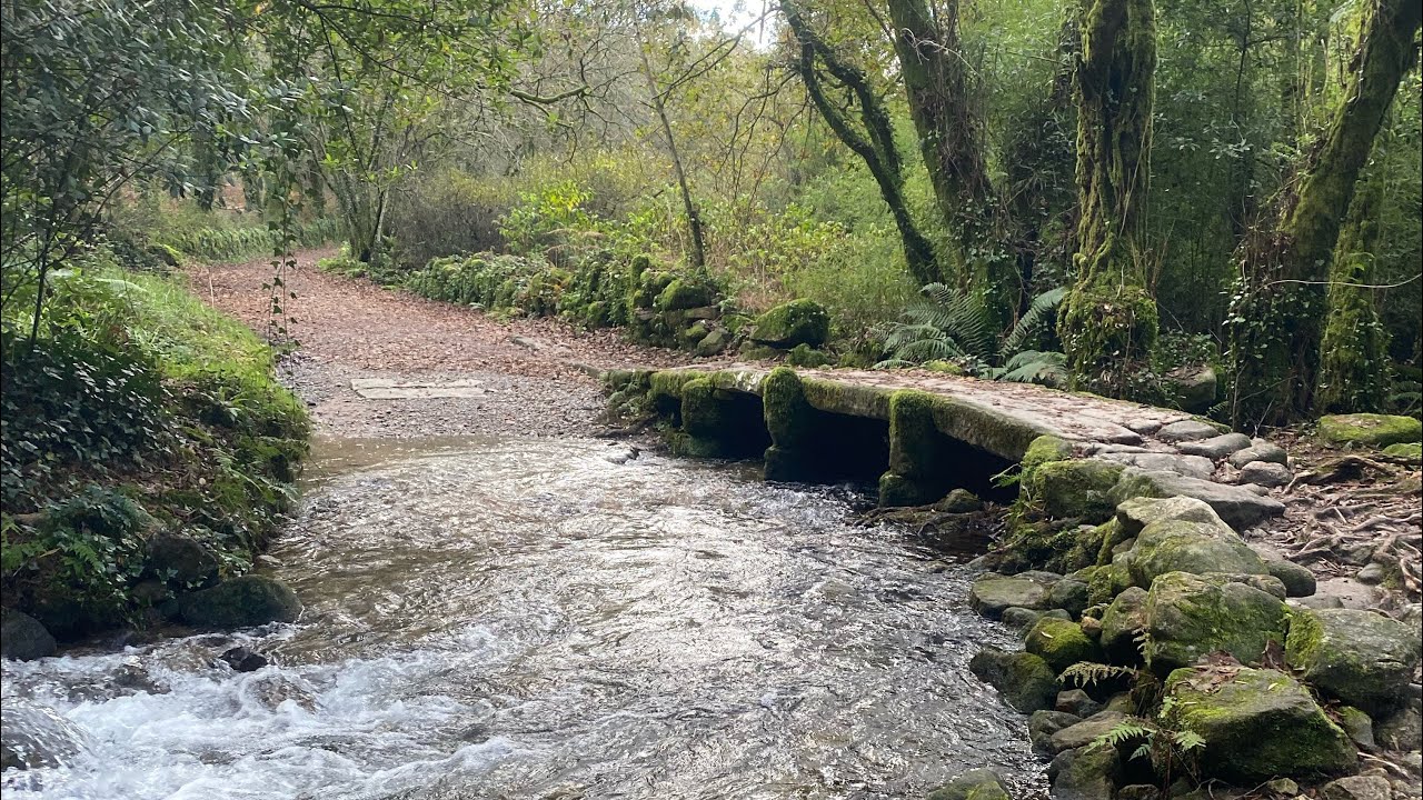 Camino Portuguese- Pontevedra to Caldas de Reis       Day 9