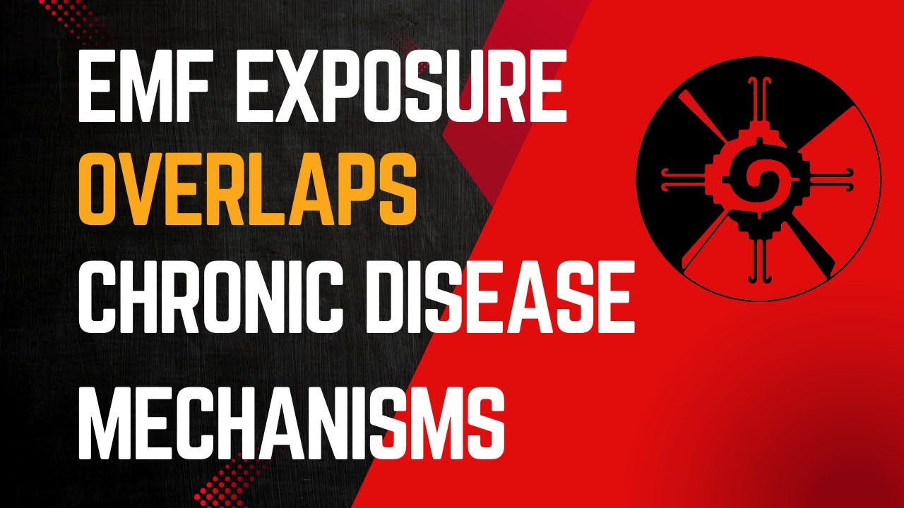 How EMF Exposure Overlaps with Chronic Disease &ndash; Sharon Goldberg, MD