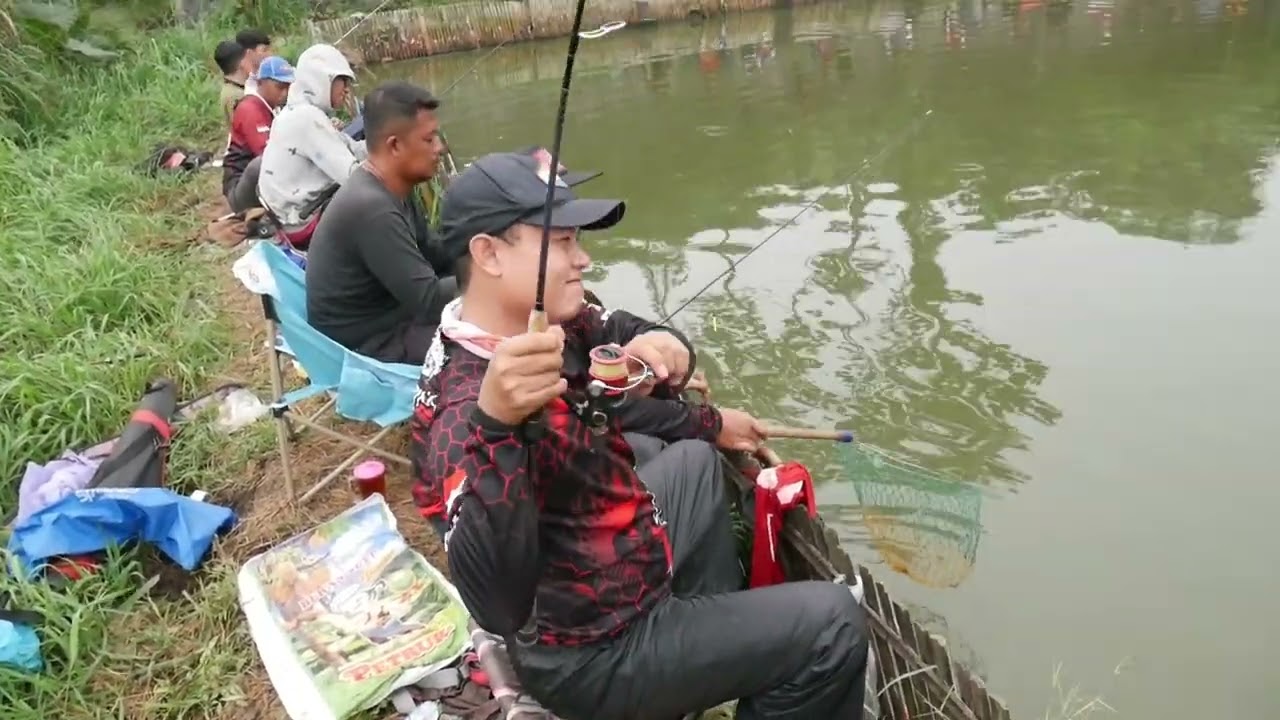 DAPAT LAGI...KOLAM IKAN ISI IKAN PATIN BABON ‼️ MANCING BORONGAN PATIN BABON