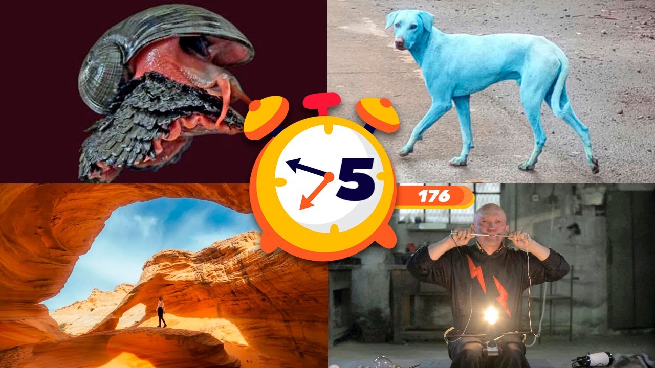 25 cosas que NO SABÍAS hace 5 minutos ⏰🧠 #176 [Curi]